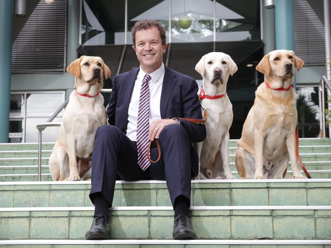 Attorney General Mark Speakman with companion dogs at Gosford Local Court. The dogs have made available to victims facing court to give evidence to help keep them calm. (AAP Image / Mark Scott)