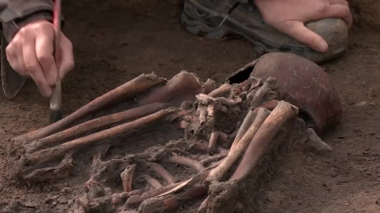 Danish archaeologists unearth 50 Viking skeletons