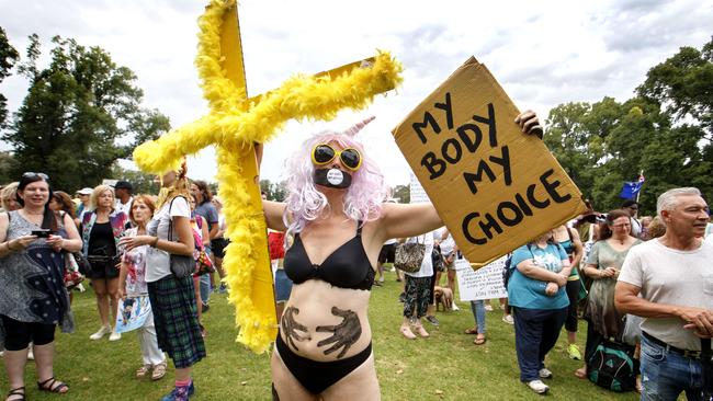 Anti-vaccination protesters in Fawkner Park. Picture: David Geraghty