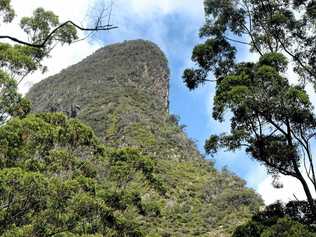 Mt Warning Photo: John Gass / Tweed Daily News. Picture: John Gass