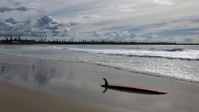 Kingscliff Beach.