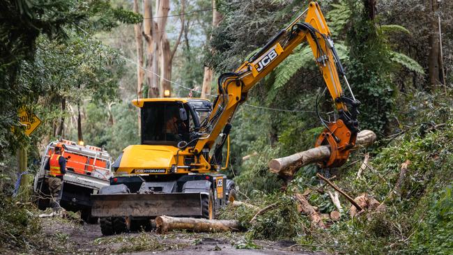 The clean up after June’s storms in the Dandenong Ranges. Picture: Jason Edwards