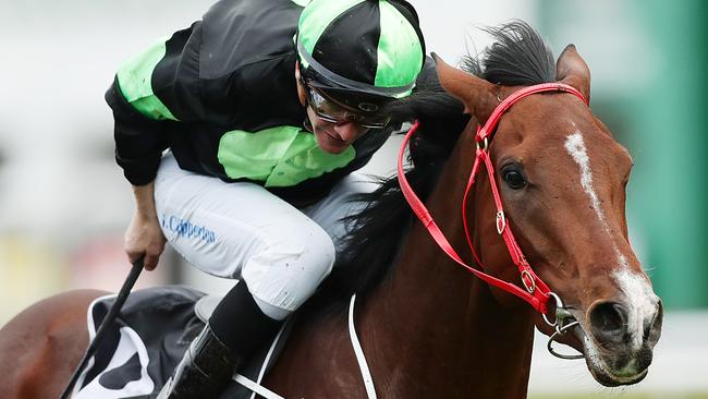 Stockman is the best bet of the day for Ray Thomas. Picture: Mark Metcalfe/Getty Images