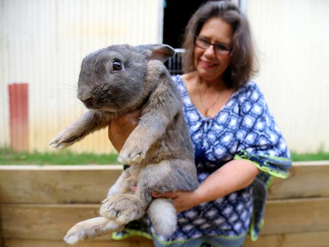 Boo is a real handful. Picture: Nathan Edwards