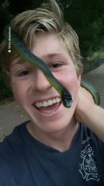 Robert Irwin encounters a wild snake 