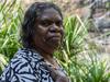 Gunlom Falls exposes cracks in Kakadu Park management ‘marriage’