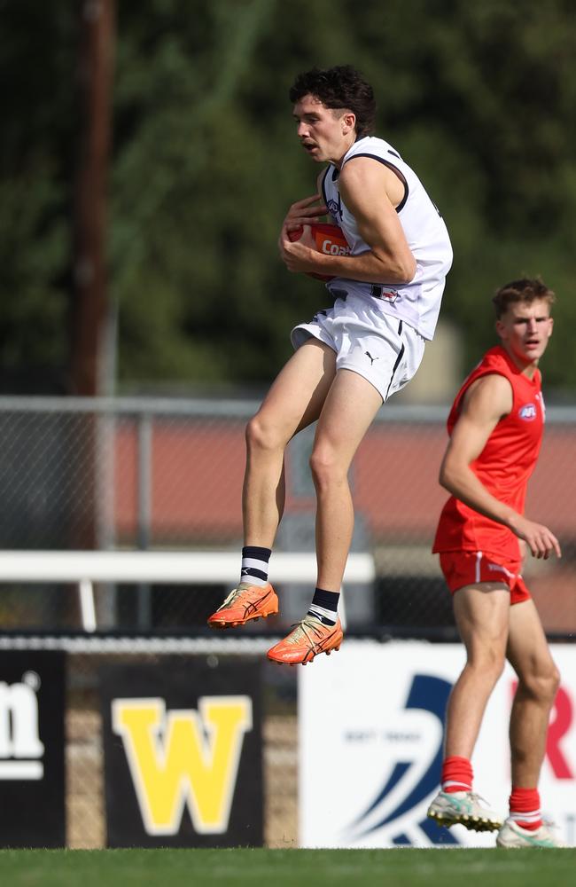 Mellor leaps for a mark. Picture: Rob Lawson/AFL Photos