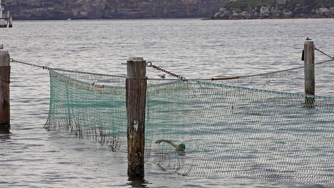 The shark nets at Nielsen Park will be removed to make way for seawall upgrades. Picture: Toby Zerna