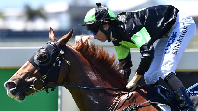 Reckless Choice will line-up in the Mooloolaba Cup. Picture: AAP