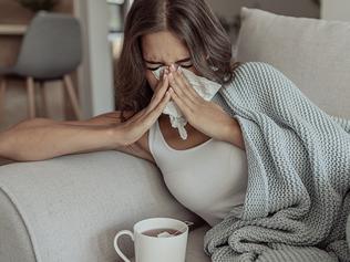 Queensland flu death toll hits 66