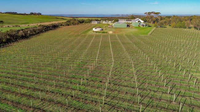 It is also home to an established cool climate vineyard. Picture: Supplied