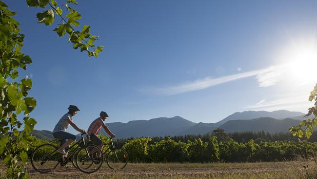 Riding high: The Murray to Mountains Rail Trail is one of the many activities in North East Victoria. Picture: Tourism North East