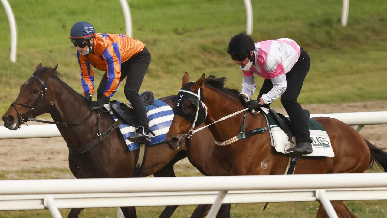 Randwick Barrier Trials