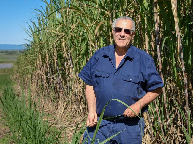 Canegrowers Queensland chairman Paul Schembri. Picture: Contributed