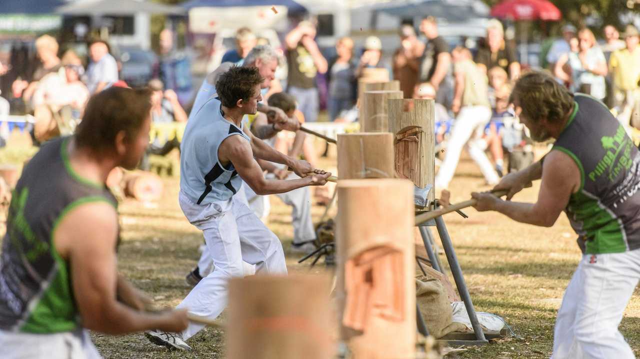 LOOKING SHARP: Woodchoppers compete at the Glenreagh Timber Festival last year. Picture: Adam Hourigan