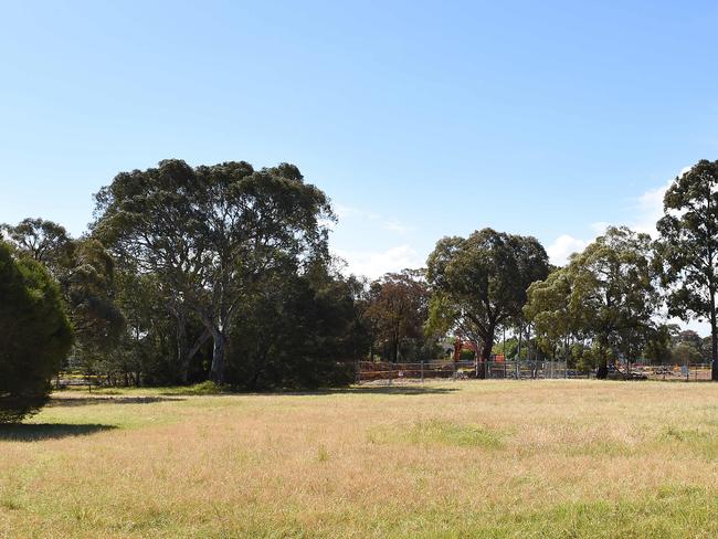 The Grassy Woodland will be ready for rejuvenation works by early 2019. Picture: Josie Hayden