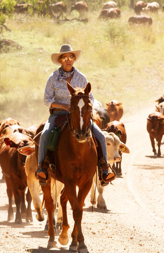 Riders worked hard to keep the mob together during the Eidsvold Cattle Drive 2024.