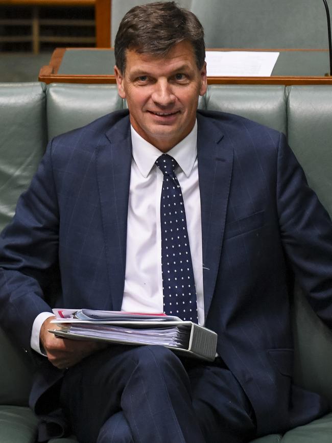 Angus Taylor in Question Time. Picture: AAP