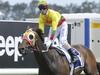 Weekend Best Bets