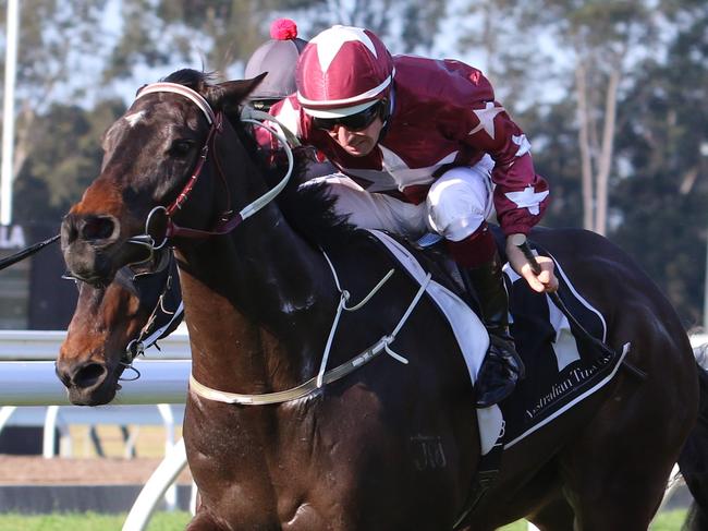 Up Trumpz wins at Warwick Farm. Picture: Grant Guy