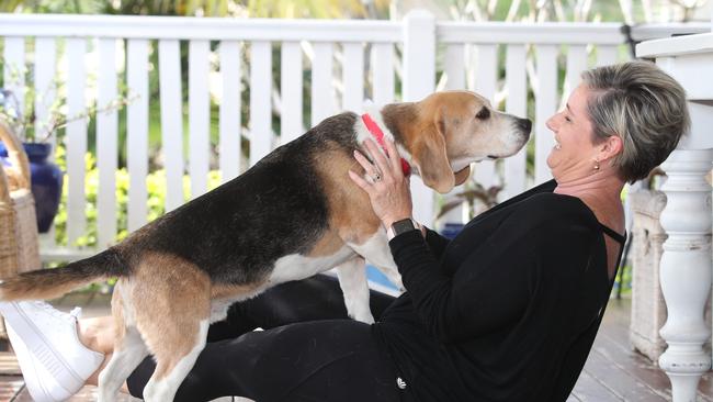 Parkwood resident Prue Howard's dog Hercules went missing from her backyard last month and was found five days later over the NSW side of the border. Picture Glenn Hampson