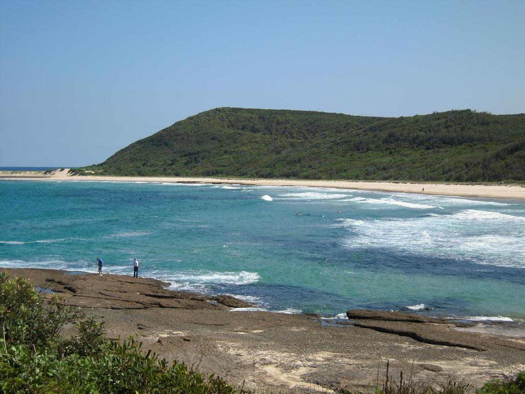 Moonee Beach Woman, 20s, drowned after being washed off rocks at Pink