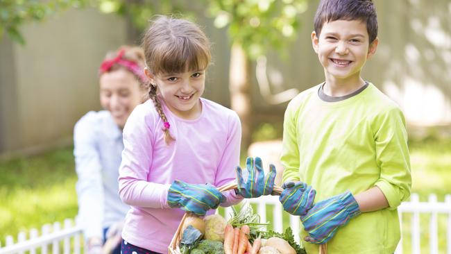 Teaching your kids to grow food is a fun way to healthy eating and sustainable living.