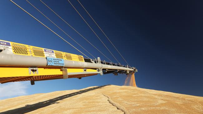 GrainCorp is reaping record earnings and issued a special dividend to shareholders.