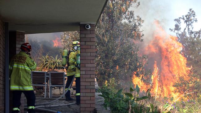 The fire near a home in North Curl Curl. Picture: David Swift.