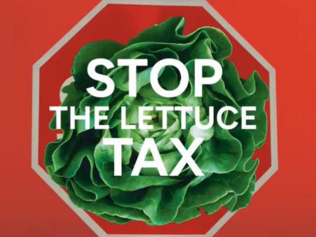 The Electoral Commissioner has found Vincent Tarzia and the SA Liberals breached the Electoral Act with social media posts last month falsely claiming the State Government had introduced a “lettuce tax”.