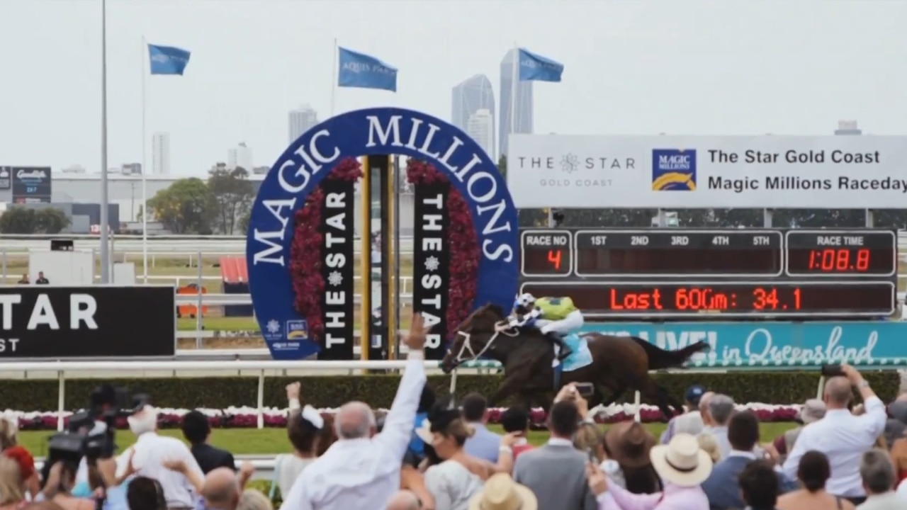 Magic Millions 2024 Showjumping gives racehorses new path to success