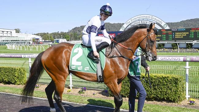 European import Our Anchorage can land his first Australian win at Hawkesbury. Picture: Bradley Photos