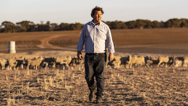 Merino sheep producer Steven Bolt on his farm in Corrigin, where his lambs are destined for the live export market.