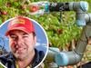 Hills farmer’s bold call as apple dynasty crumbles