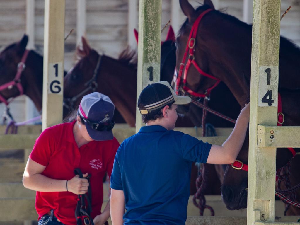 Trainers and strappers get the horses ready for the races.