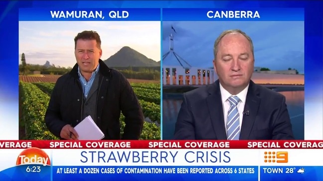 "It is not only a threat to the strawberry industry " ( The Today Show )