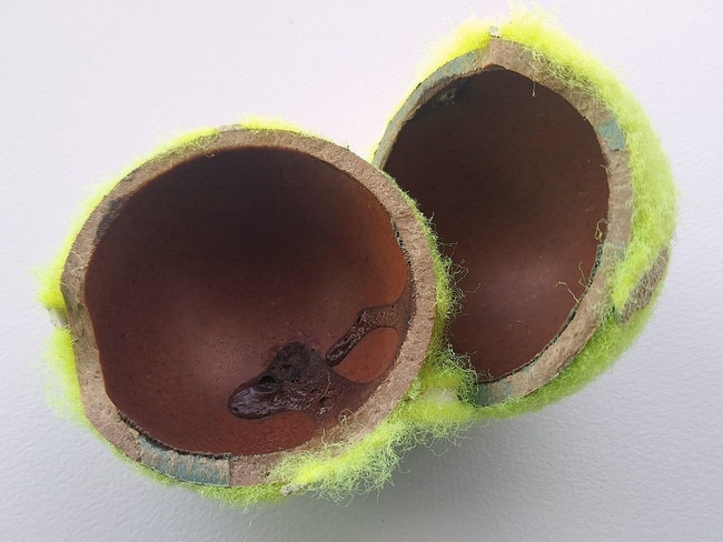 The inside of a tennis ball. Picture: Cmglee