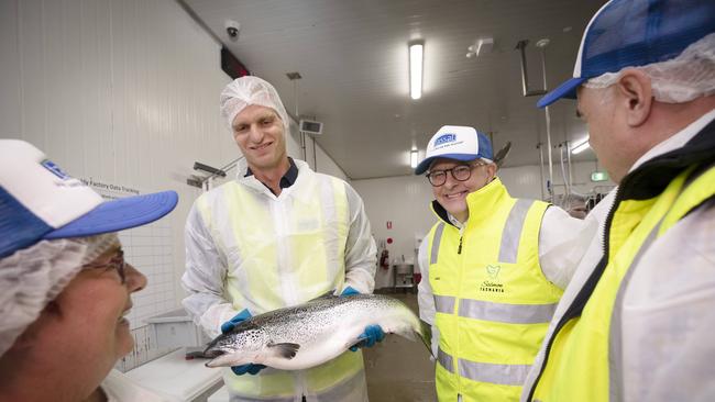 Senator Anne Urquhart, Tassal head of supply chain and strategy Hamish Sutton, Prime Minister Anthony Albanese and Lyons MP Brian Mitchell MP tour the Tassal processing facility at Barretta. Picture: Chris Kidd