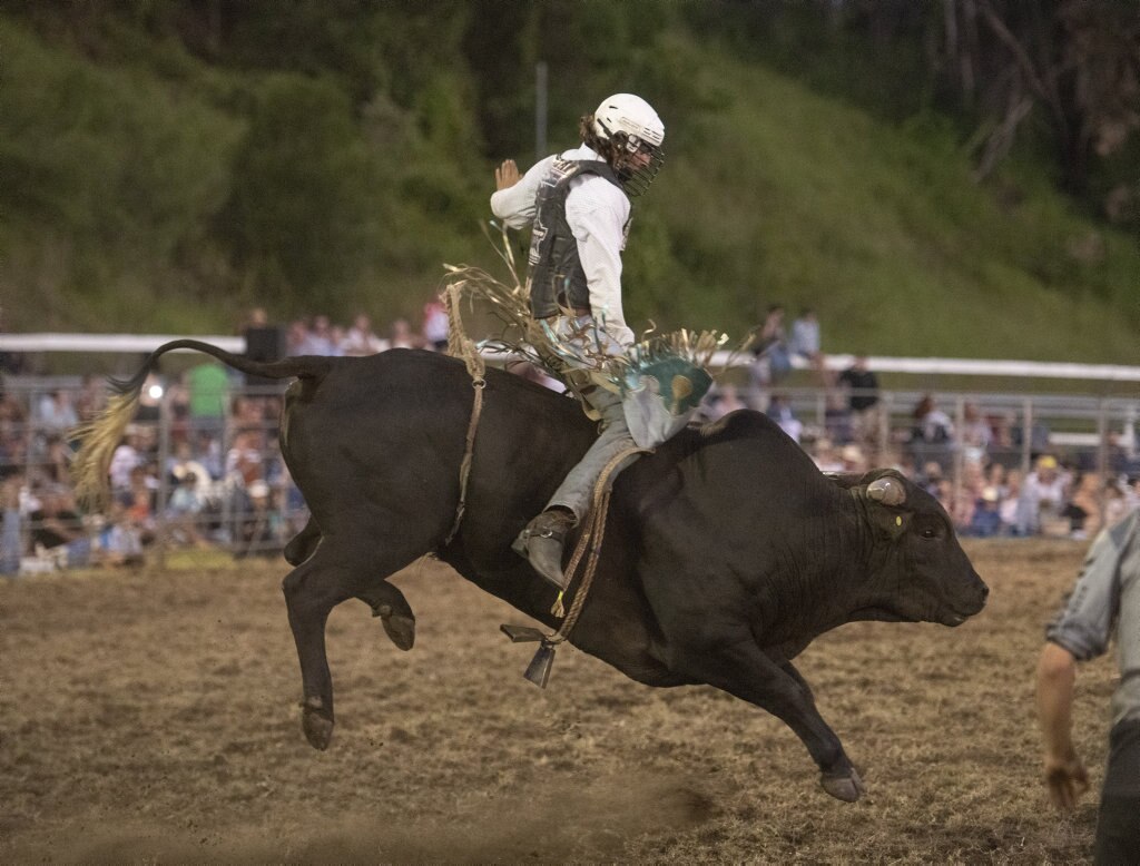 Clay Hall gets in a good position in the open bullride at the Lawrence Twilight Rodeo. Picture: Adam Hourigan