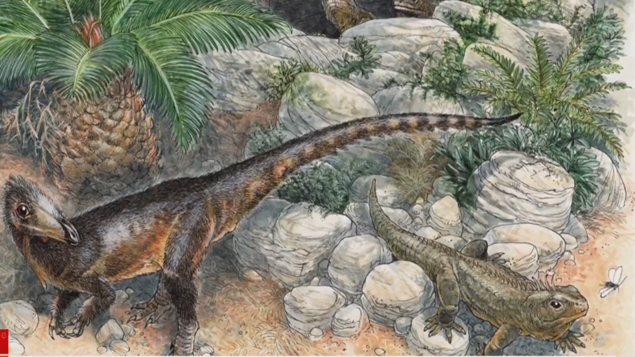 UK's oldest meat-eating dinosaur discovered in Wales