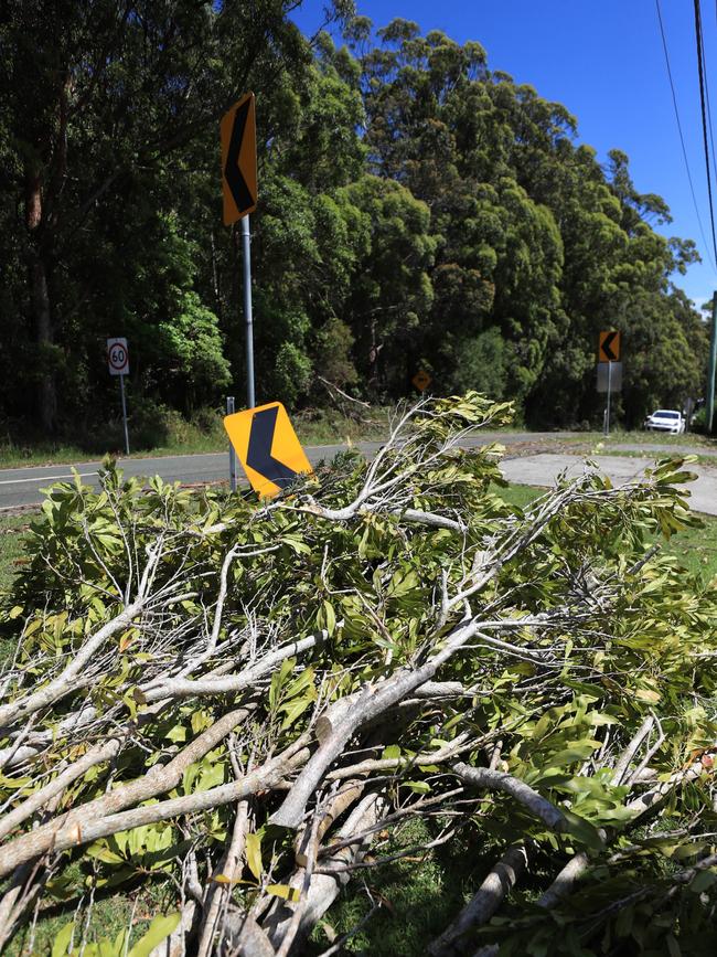 Fallen trees also caused chaos at Coomera on the Gold Coast. Picture: NCA NewsWire / Scott Powick