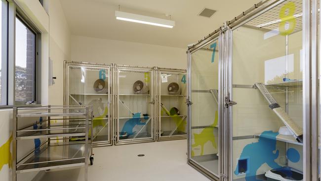 Mornington’s Community Animal Shelter And Pound A $1m State-of-the-art 