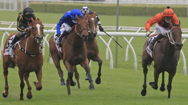 Kris Lees has already qualified four runners the Provincial-Midway Final including Never Talk (right). Picture: Getty Images