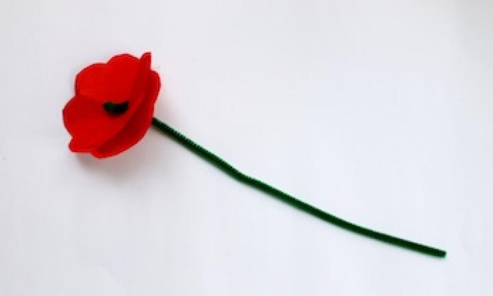 Anzac Day Diy Craft For Kids How To Make A Red Poppy Kidspot