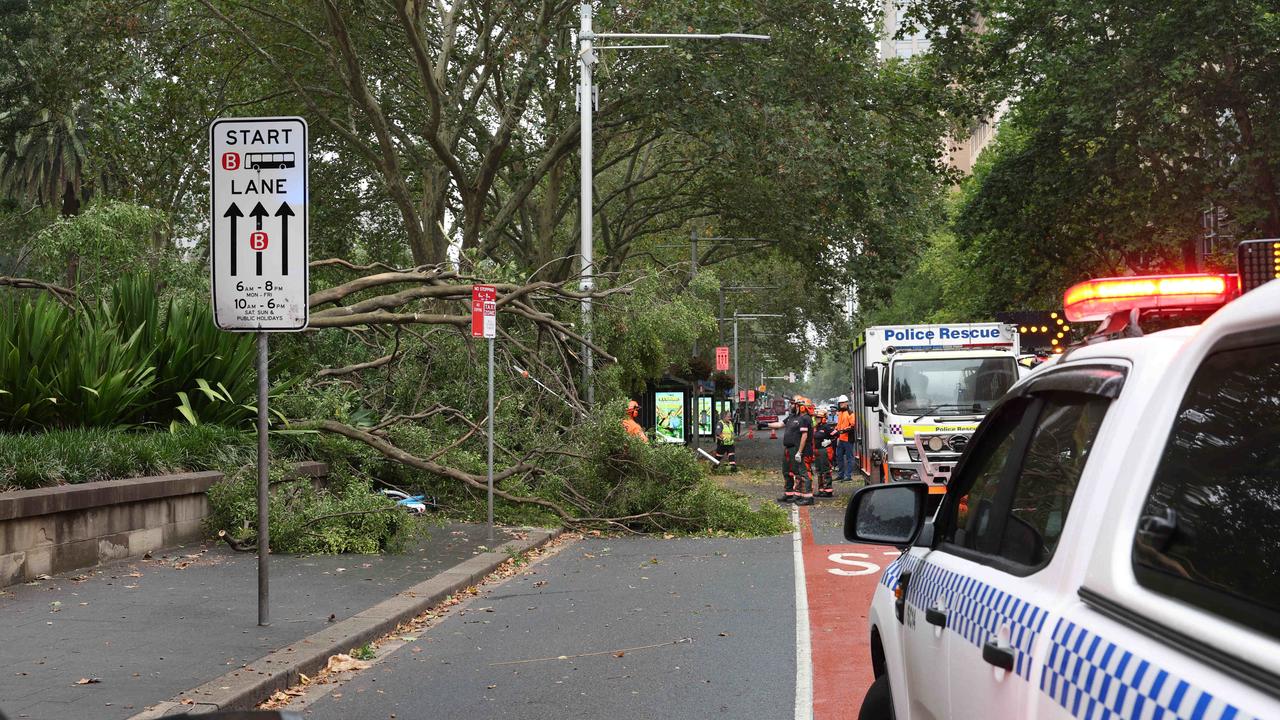 Two crushed by tree in CBD as wild winds lash Sydney