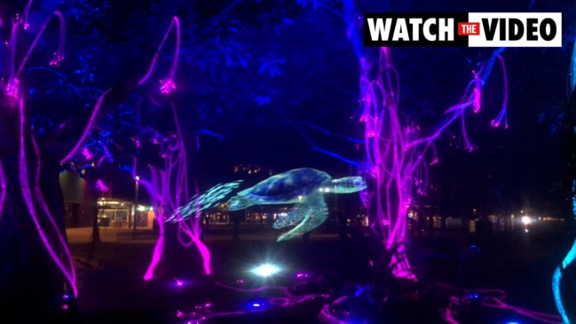 Sneak preview of Reef Laser Light Show