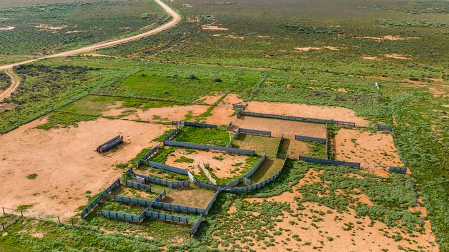 Glen Emu Station comprises four adjoining properties totalling 43,334ha.