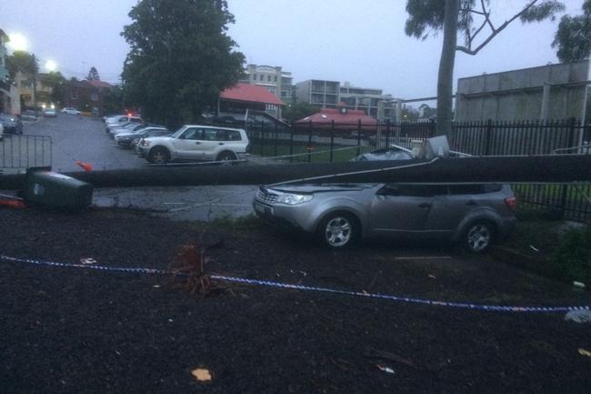 Storm damage at Coogee Oval after a tree fell on a car. Picture: Russell Jackson