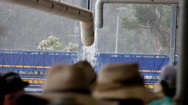 Rain poured down at the Wangaratta weaner sale on January 5, as shown by the water pouring off the roof. Picture: Jenny Kelly