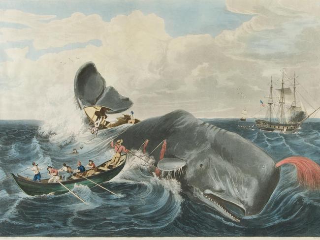 Capturing a Sperm Whale', colored engraving by J. Hill, 1835, after William Page (1811-1885)